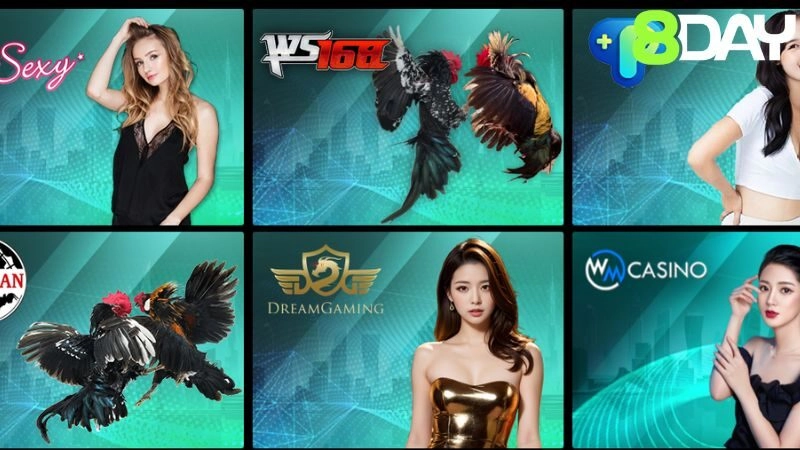 Giới thiệu chung về sảnh Live Casino của 8DAY